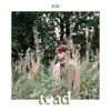EiK 2509 - TEAD (feat. Maris Pihlap & Mattias Tirmaste) - Single